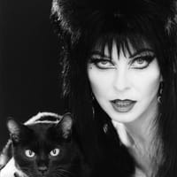 Elvira mistress of dark