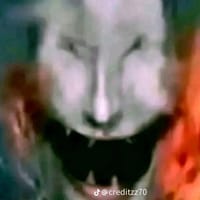 Why So Serious?