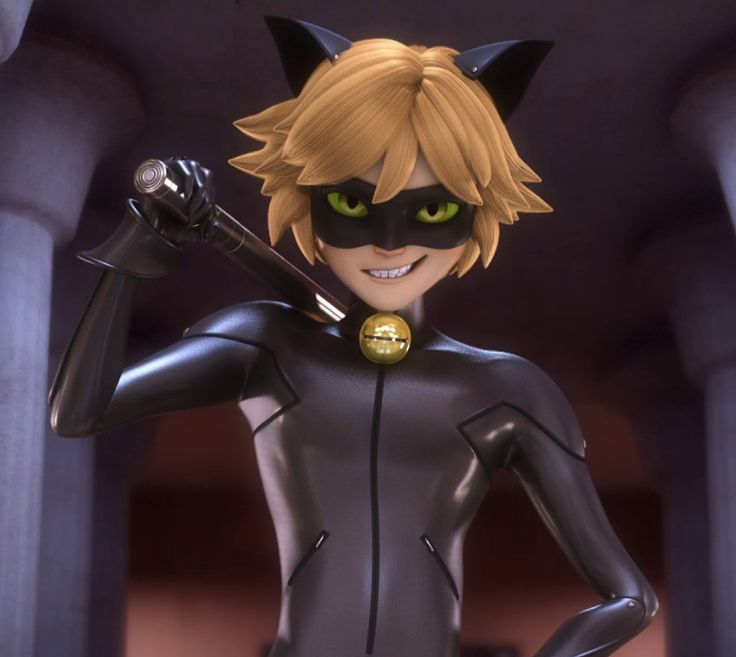 cat noir