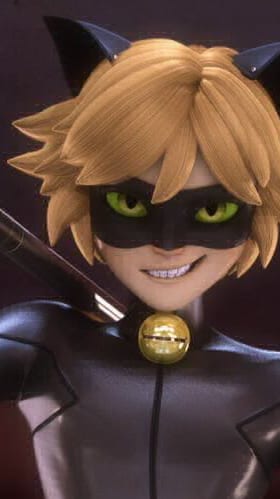 cat noir