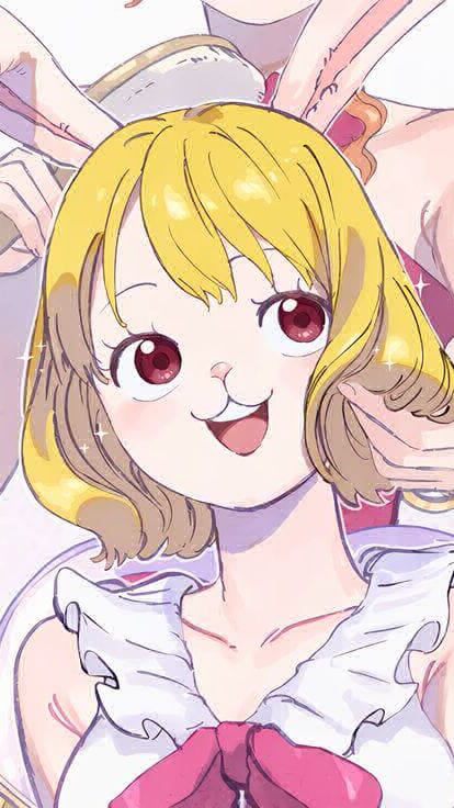 carrot🥕