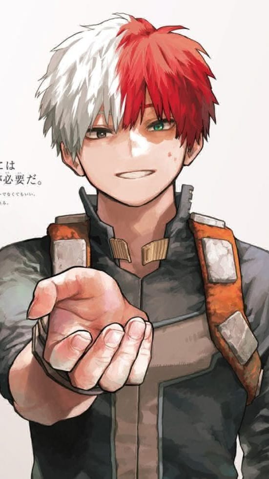 Shoto Todoroki