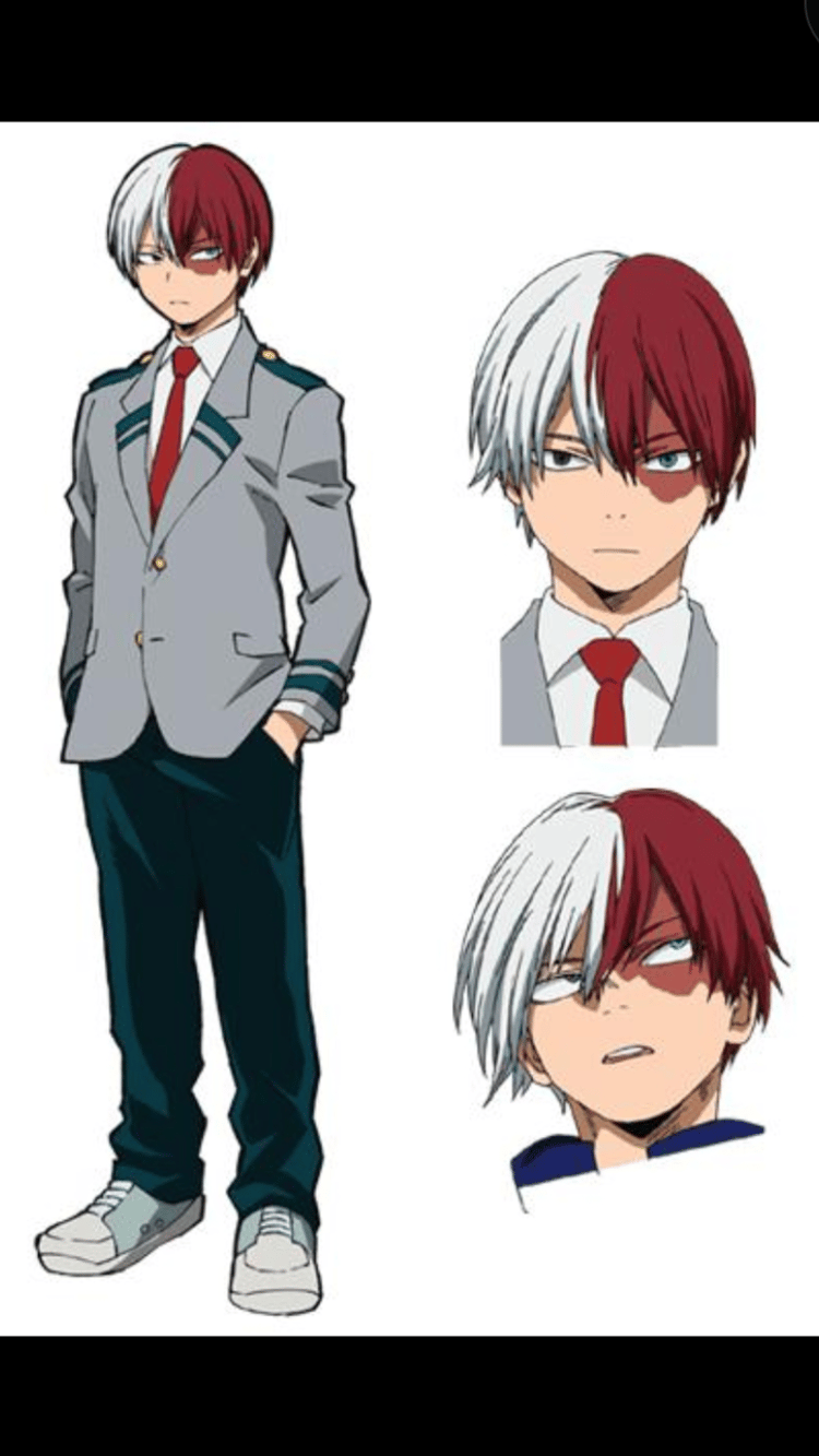 Shoto Todoroki
